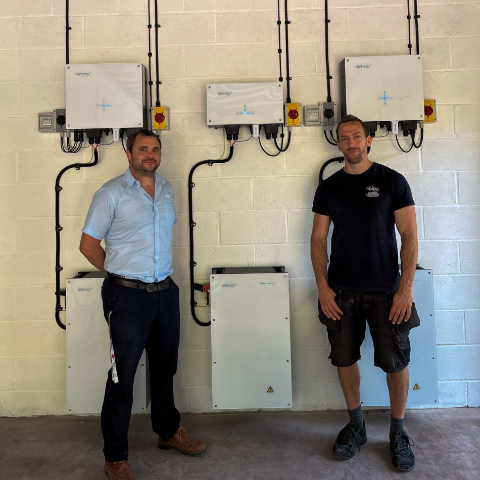 Electrians: Professional Service in Action